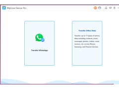 iMyFone iTransor Pro - transfer-other-data