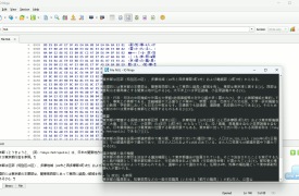 IO Ninja - Screenshot 2