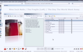 Jajuk: Advanced Jukebox - Screenshot 4