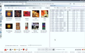 Jajuk: Advanced Jukebox - Screenshot 5