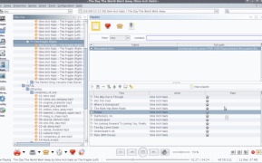 Jajuk: Advanced Jukebox - Screenshot 6