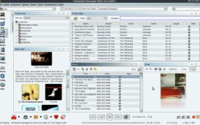 Jajuk: Advanced Jukebox - Screenshot 2