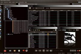 Jajuk: Advanced Jukebox - Screenshot 3