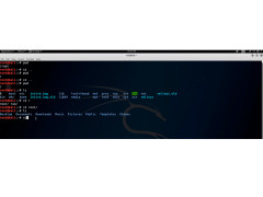 Kali Linux - root-screen
