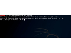 Kali Linux - updating-system-and-packages