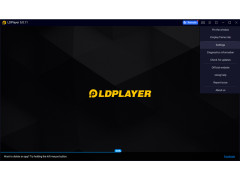 LDPlayer - options-page