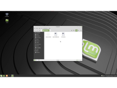 Linux Mint - file-explorer