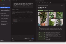 LM Studio - Screenshot 2
