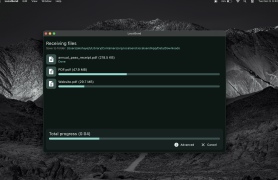 LocalSend - Screenshot 2