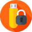 Lock USB logo