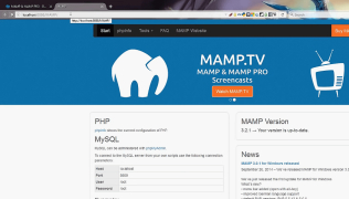 MAMP PRO - Screenshot 2