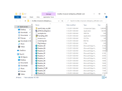McAfee VirusScan Enterprise - files