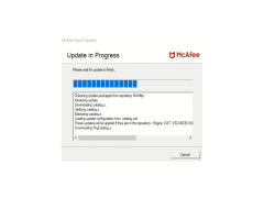 McAfee VirusScan Enterprise - update