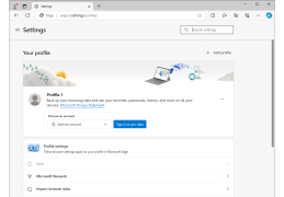 Microsoft Edge WebView2 Runtime - settings-in-application