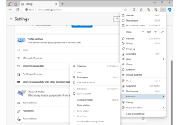 Microsoft Edge WebView2 Runtime - more-tools