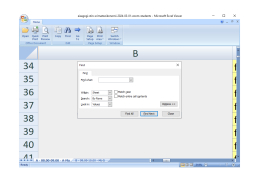 Microsoft Office Excel Viewer - find-options