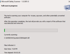 Microsoft Safety Scanner - Screenshot 2