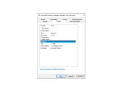 Microsoft Windows Installer - details