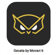 Movavi Game Capture screenshot 2