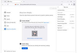Mozilla Firefox Portable - tools-in-application