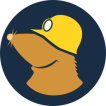 Mullvad VPN logo