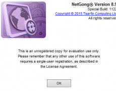 NetGong screenshot 1