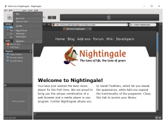 Nightingale - controls