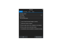 Ninja Download Manafer - settings