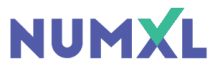 NumXL logo