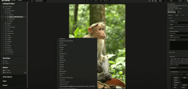 ON1 Photo RAW - Screenshot 4