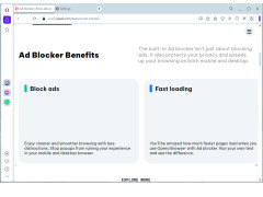 Opera AdBlock - benefits