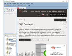 Oracle SQL Developer - reports