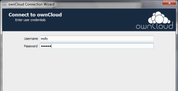 ownCloud Desktop Client - Screenshot 2
