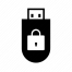Password Protect USB logo