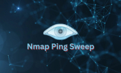 Ping Sweep Tool logo