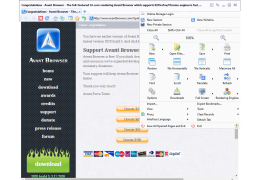 Portable Avant Browser - menu-options