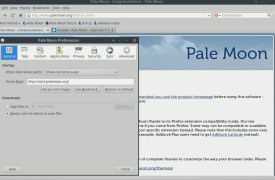 Portable Pale Moon - Screenshot 3