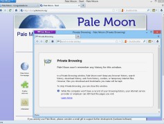 Portable Pale Moon - Screenshot 4