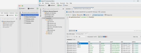 Portable Robo 3T - Screenshot 1