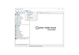 Quick View Plus - window