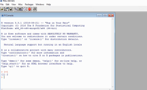 R for Windows - Screenshot 1
