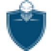 RDS-Knight logo