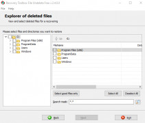 Recovery Toolbox File Undelete Free screenshot 1