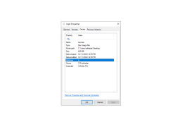 Reset Windows Password - details