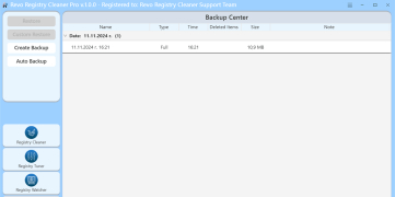 Revo Registry Cleaner Pro - Screenshot 4