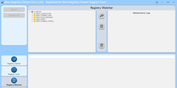 Revo Registry Cleaner Pro - Screenshot 3