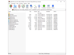 RightMark CPU Clock Utility - main-files