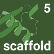Scaffold logo