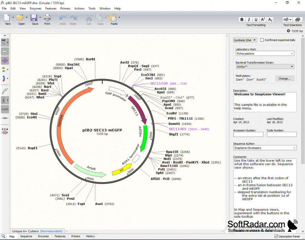 how to use restriction enzymes snapgene viewer