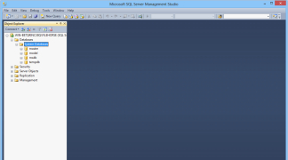 SQL Server Management Studio - Screenshot 2
